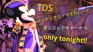 TDS ミステリアス・マスカレード「一緒に踊ろう！今夜だけ☆（ミッキー追っかけ）」