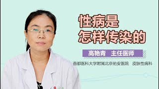 性病怎么传染 性病的传播途径有哪些 有来医生