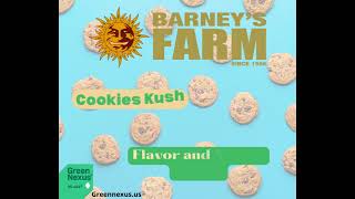 Cookie Kush Flavor and Aroma Profile from Barney's Farm