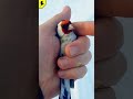 Сибирский щегол carduelis şaka kokil catchingbirds cardellino 2023 goldfinch kuso jilguero