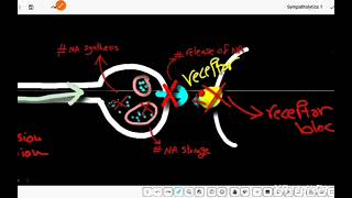 Lec 11 general pharmacology ( Sympatholytics 1 ) BFOM 44