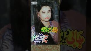 Salma Agha Ke Punjabi Filmi Songs Audio Album