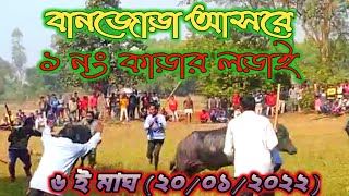 বানজোড়া আসরে ১ নং কাড়ার লড়াই 💥 kara larai purulia 2022