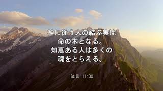 【iway】 一日聖句　箴言 11:30