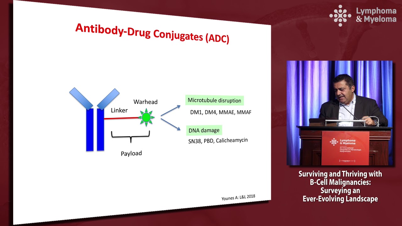 New Antibodies And Antibody-drug Conjugates For B-cell Lymphoma - YouTube