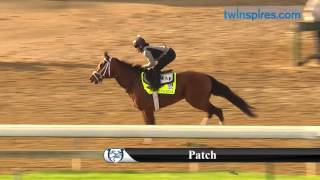 Patch gallops 4.27