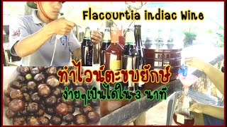 ไวน์ตะขบยักษ์ Flacourtia indica Wine