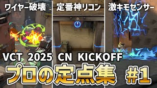 プロ選手が使った定点集 in VCT 2025 CN Kickoff #1【 VALORANT 】