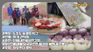 [TV전국시대] 1월2일(목) 전체방송 다시보기