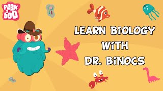 Learn Biology With Dr. Binocs |  Compilation | Learn s For Kids