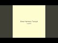 Silver Harmony Tranquil