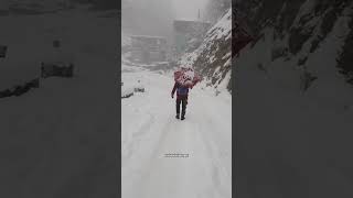 শীতের তুষারপাত 🌨️ #snowfall #winter #viral #reels