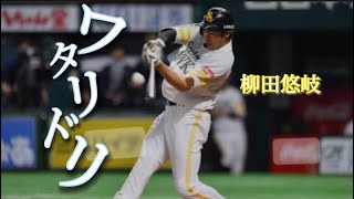 【MAD】柳田悠岐×ワタリドリ