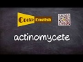 Actinomycete   Pronunciation, Paraphrase, Listen & Practice