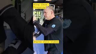 Wing Chun Trapping Part 2 - Full Video