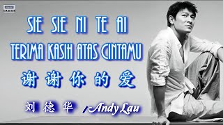 經典歌曲 Sie Sie Ni Te Ai Andy Lau Terima Kasih Atas Cintamu 谢谢你的爱 刘德华
