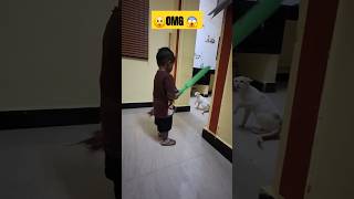 Idhu unmaiya illaya🤬🥱#viralvideo #voiceeffects #funnycats #trending #dogfunny #ytshorts