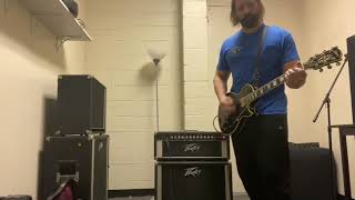 Peavey Mace 320t with Eminence Swamp Thang