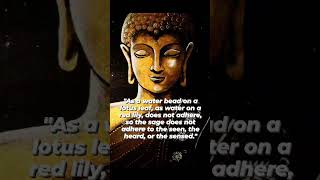 Buddha Quotes |inspirational quotes |motivational quotes #buddha #sandeepmaheshwari #sonusharma