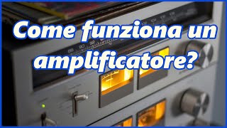 Come funziona un amplificatore? – Risposte da cani