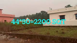 Plot for sale Kamaluwagaja Bharatpur no-1 Haldwani , 44*50=2200 sqt , 18 F road