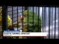 Upstate exotic animal rescue