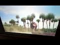 Disney Dinosaur Carnotaurus Attack