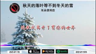 2024華語網絡流行音樂 ||《秋天的落葉等不到冬天的雪》|| 耳朵便利店 || 動態歌詞