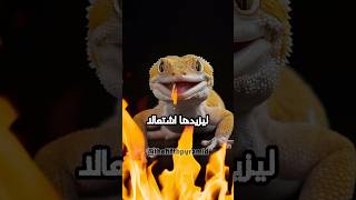 لماذا امر النبي بقتل البرص؟🦎 #shorts