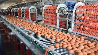 Incríveis Máquinas para Processar Alimentos Mais Satisfatórias Que Estão Em Outro Nível