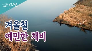 [다시 보기] FTV 시그널 - 겨울철, 예민한 채비