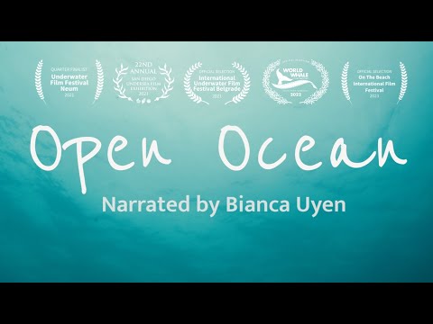 Where is the open ocean zone?