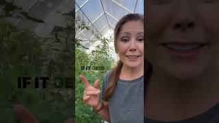 Adding Ventilation to a Hoop House