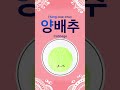 korean koreanalphabet learningkorean koreanmusic kpopmusic 한글 한글배우기 양배추 cabbage