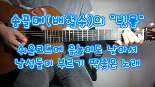 송골매(배철수)의 