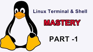 Linux Terminal Mastery | Shell Scripting Part-1