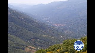 ¿Cómo es la vida en Extremadura? Paraíso salvaje bajo leyes de la naturaleza (DOCUMENTAL COMPLETO)