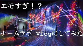 チームラボ お台場 VLOG にしてみた【立花れおん】