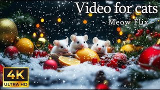 No Ads 🎅 Tiny Mice Spread Christmas Cheer 🐭 Cute White Mice in Nature for Curious Cats 🐱 Meow Flix