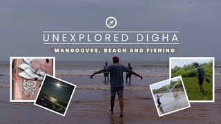 Inside the unexplored depths of DIGHA | Bichitrapur Mangrove Sanctuary