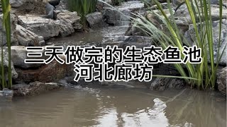 三天做完的生态鱼池，河北廊坊