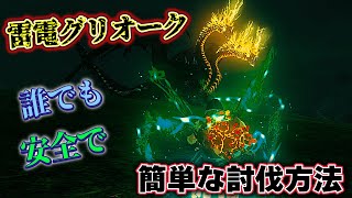 【ティアキン攻略】「雷電グリオーク」誰でも安全で簡単に倒せる討伐方法と出現場所を紹介します【ティアーズオブザキングダム】