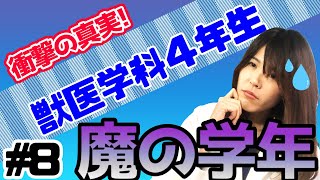 獣医学科４年生は魔の学年？！初手術の内容とは？？ #8