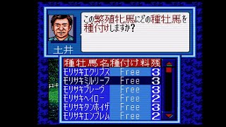 空手家おじさんが【SFC】ウイニングポスト1を30年ぶりにプレイしてみる#256