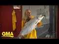 A look at Washington state’s salmon l GMA