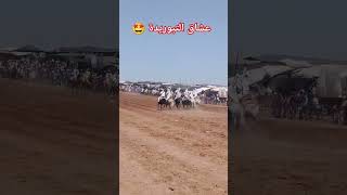 مباشرة من موسم الغليميين بضواحي شمال مدينة آسفي 🇲🇦 نورتوني 💓