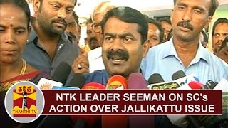 NTK Leader seeman on SC's action over Jallikattu Issue | Thanthi TV