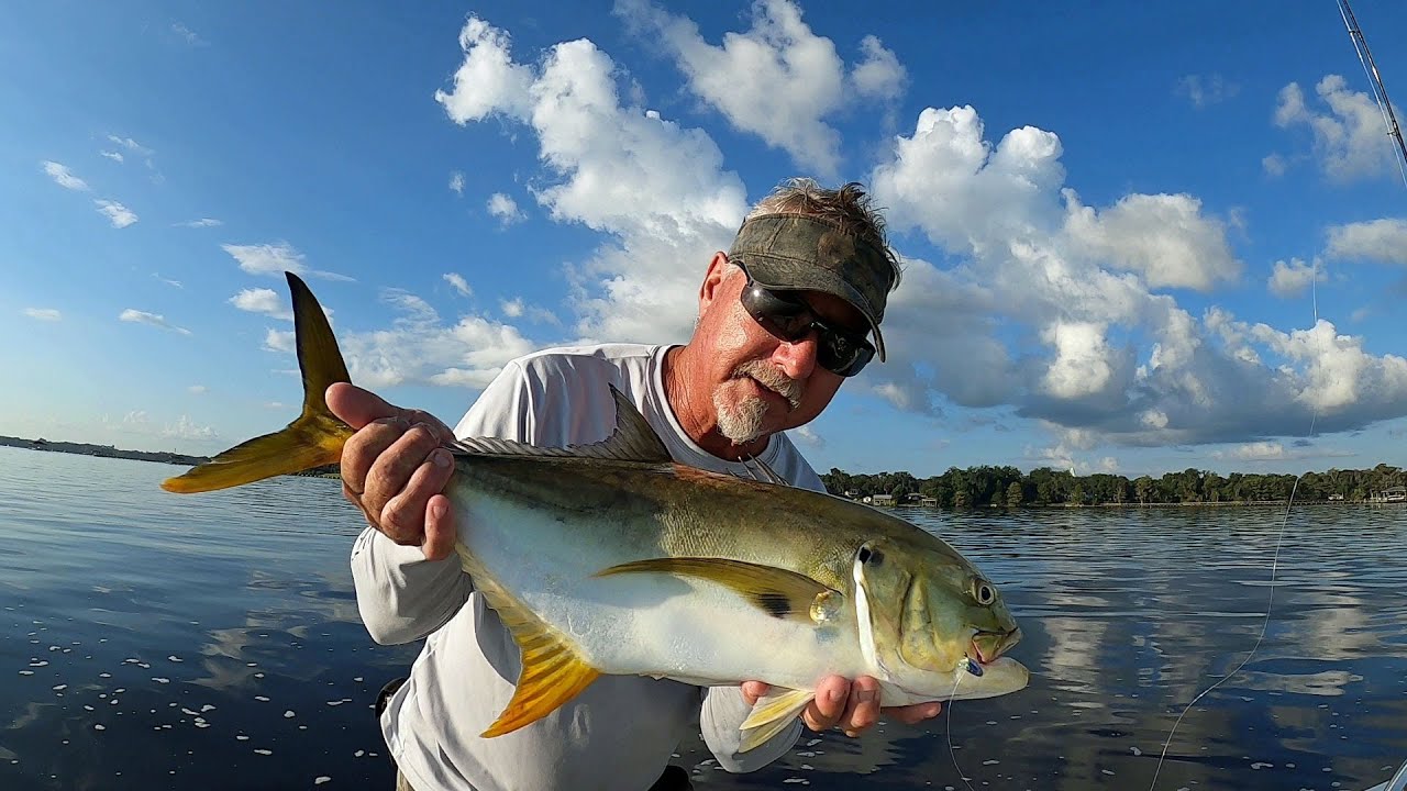 Best Shrimping And Fishing In Florida - St Johns River - YouTube