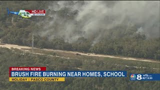 Pasco County fire crews battle large brush fire in Holiday