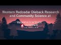 Western Redcedar Dieback Research and Community Science at Washington State University